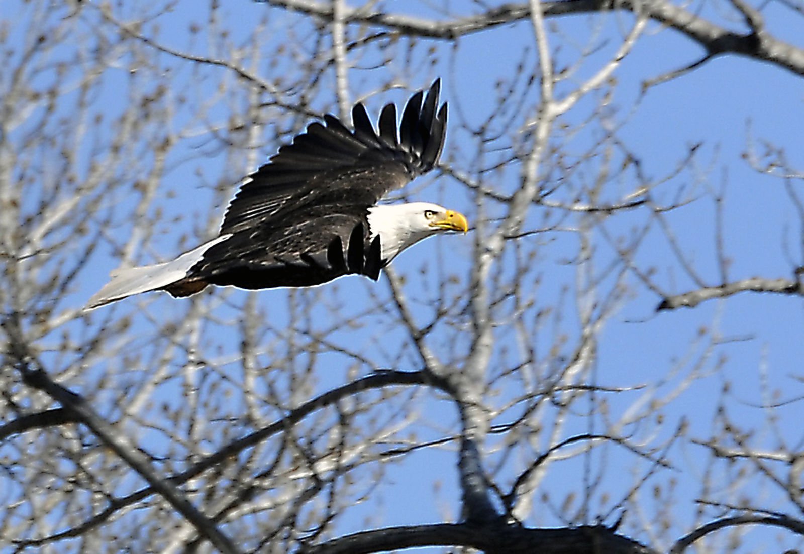 Progress Salt Plains Refuge 5 BH.jpg
